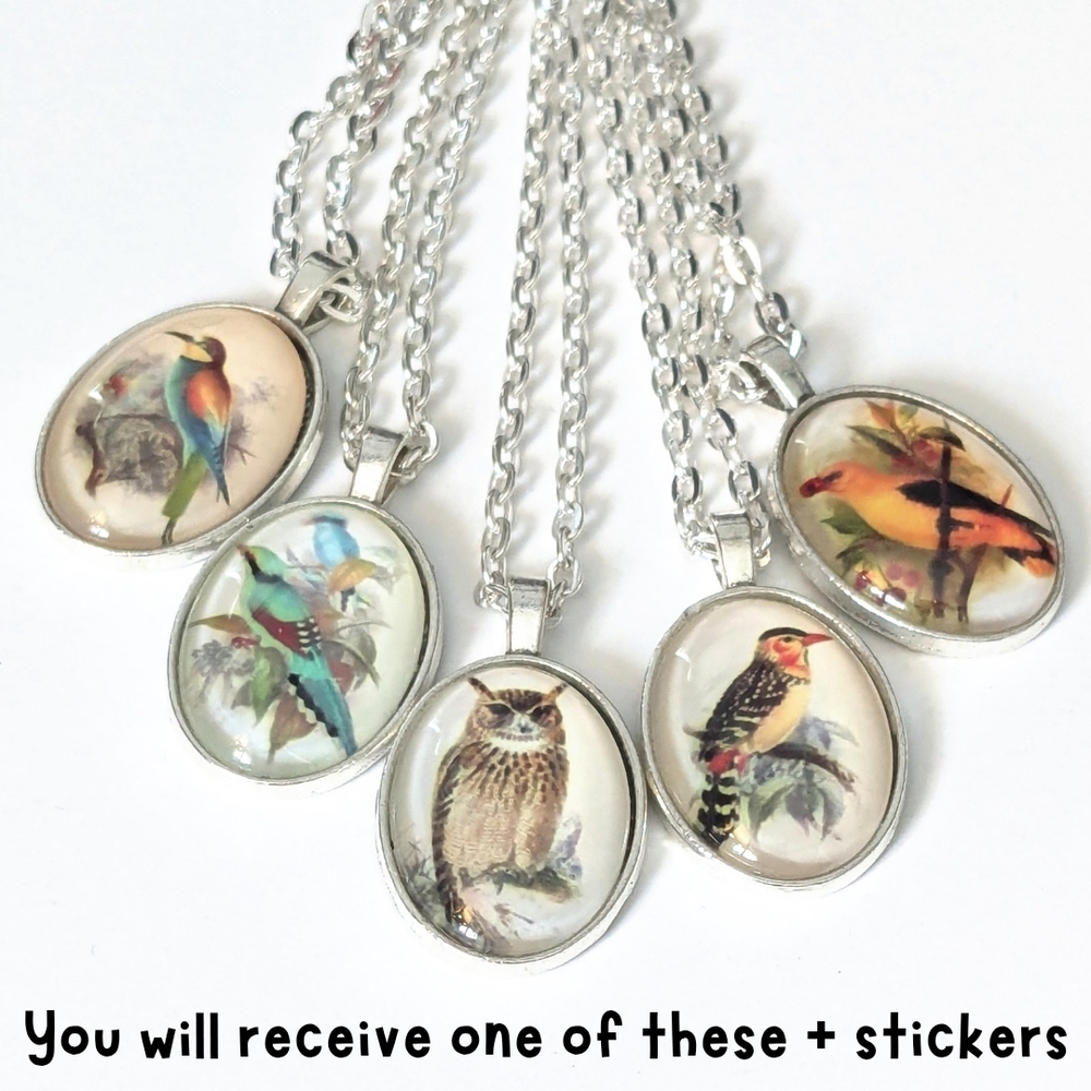 ❓Mystery❓Bird Pendant Necklace